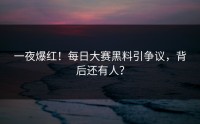一夜爆红！每日大赛黑料引争议，背后还有人？