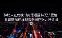神秘人在傍晚时刻遭遇猛料无法置信，蘑菇影视在线观看全网炸锅，详情围观