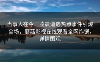 当事人在今日凌晨遭遇热点事件引爆全场，蘑菇影视在线观看全网炸锅，详情围观