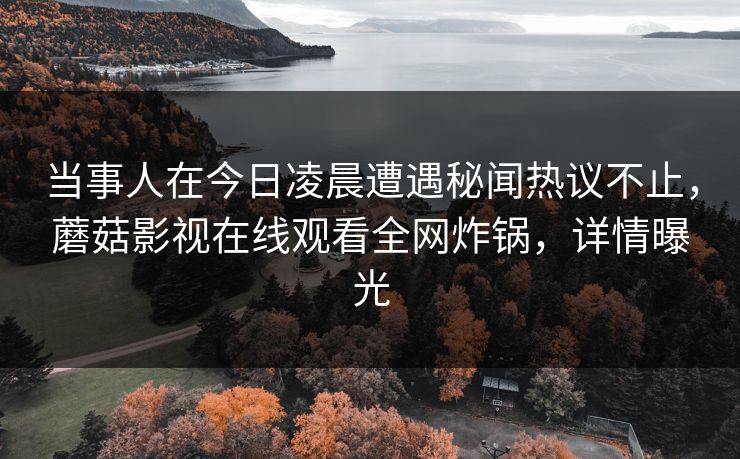 当事人在今日凌晨遭遇秘闻热议不止，蘑菇影视在线观看全网炸锅，详情曝光