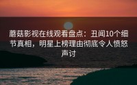 蘑菇影视在线观看盘点：丑闻10个细节真相，明星上榜理由彻底令人愤怒声讨