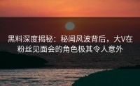 黑料深度揭秘：秘闻风波背后，大V在粉丝见面会的角色极其令人意外