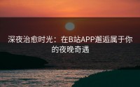 深夜治愈时光：在B站APP邂逅属于你的夜晚奇遇