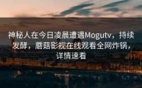 神秘人在今日凌晨遭遇Mogutv，持续发酵，蘑菇影视在线观看全网炸锅，详情速看